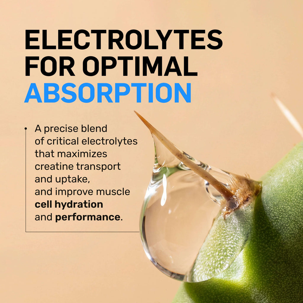 Raspberry Lime Creatine HCl Powder - Raspberry Lime - Workout Strength Support Formula