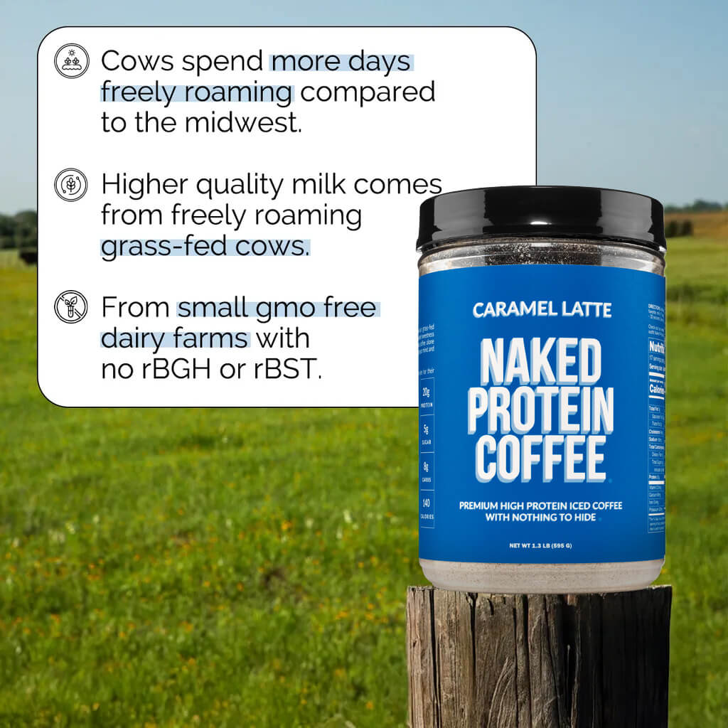 Caramel Latte Protein Iced Coffee - Caramel Latte - Daily Active Lifestyle Essential