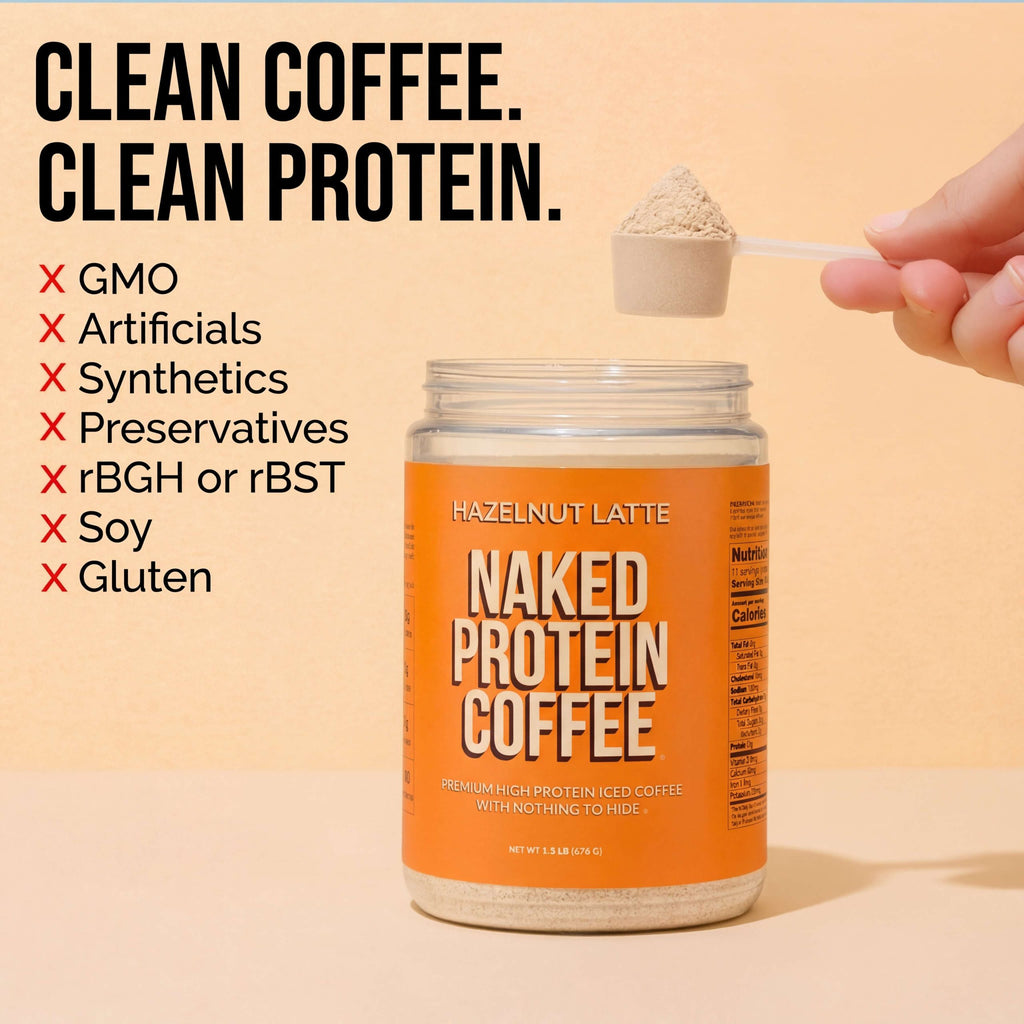 Hazelnut Latte Protein Iced Coffee - Hazelnut Latte - Daily Active Lifestyle Essential