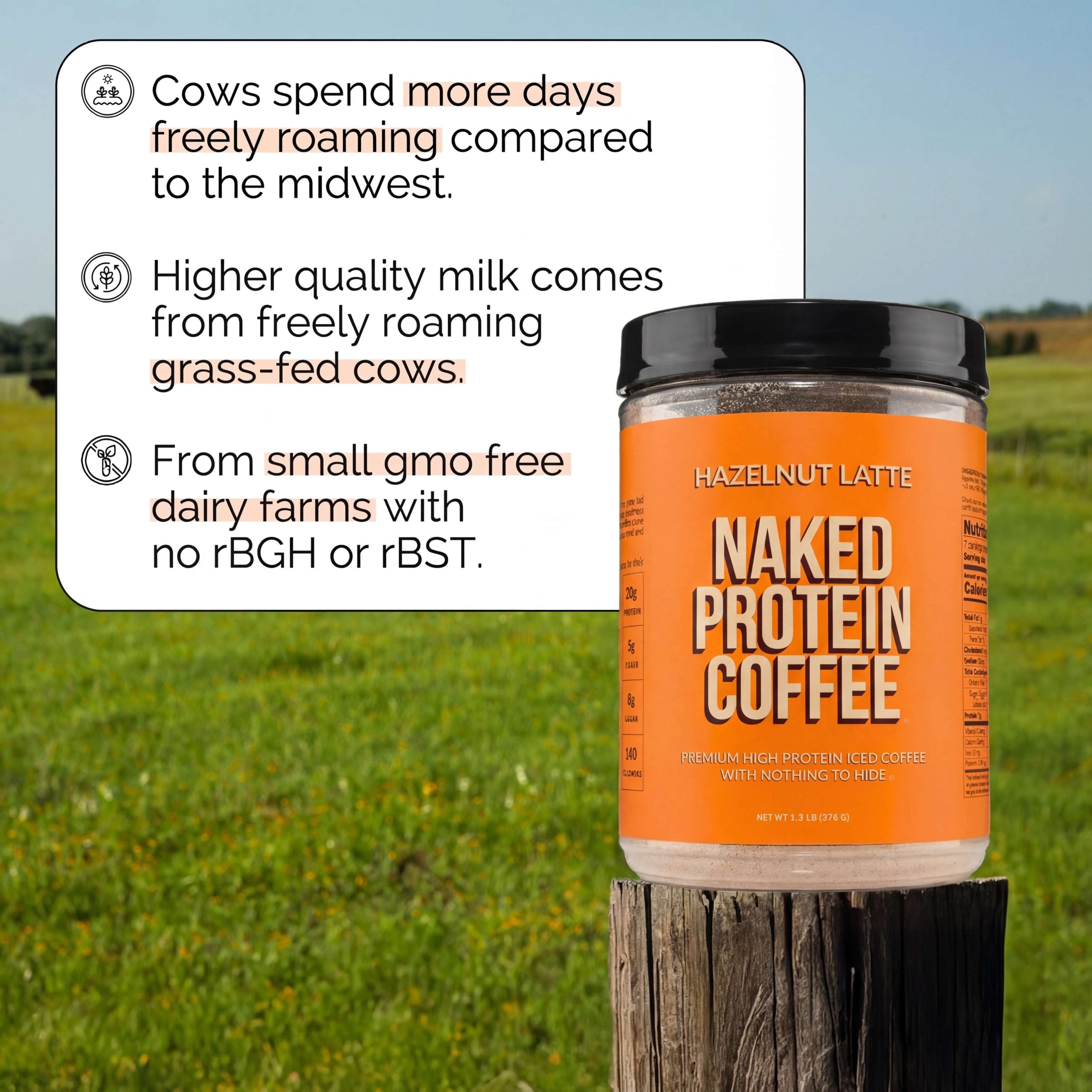 Hazelnut Latte Protein Iced Coffee - Hazelnut Latte - Daily Active Lifestyle Essential