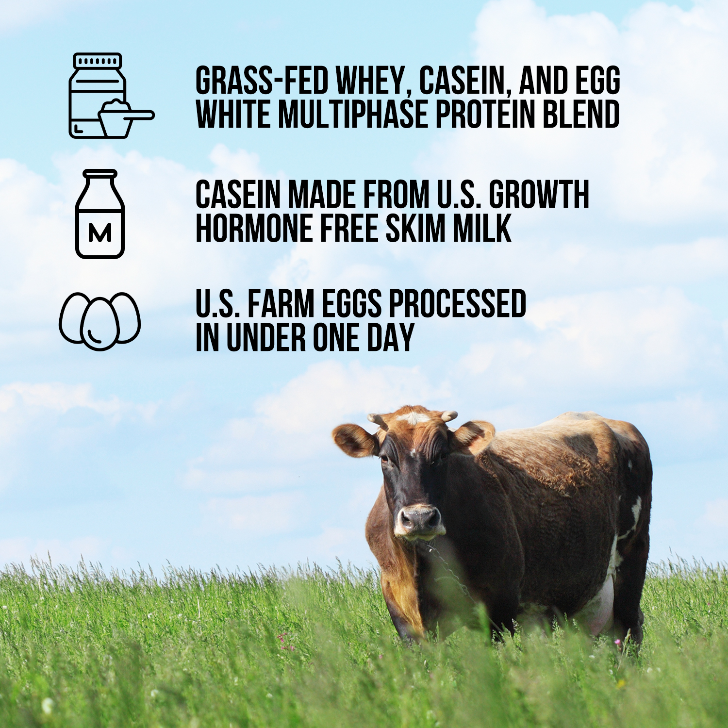 Protein Powder Blend - 1LB Egg Whey & Casein Protein Blend - 1LB - Post Workout Protein Blend