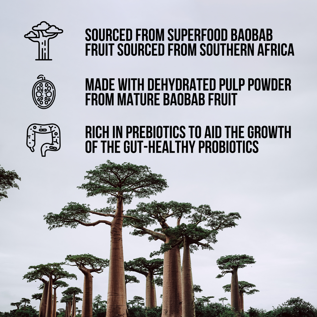 Organic Fiber Supplement - Clean Gut Health Support