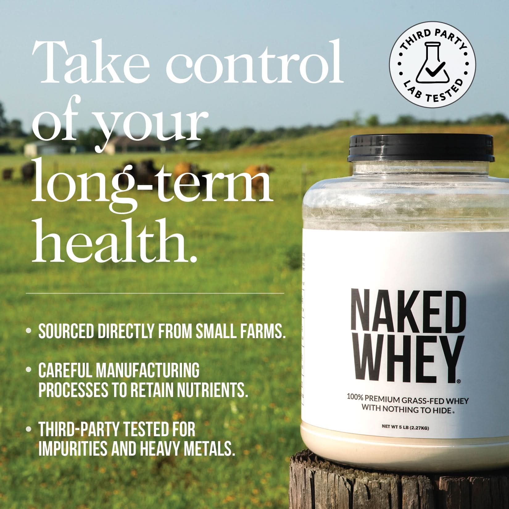 Chocolate Whey Protein Powder - Chocolate - Post Workout Protein Blend