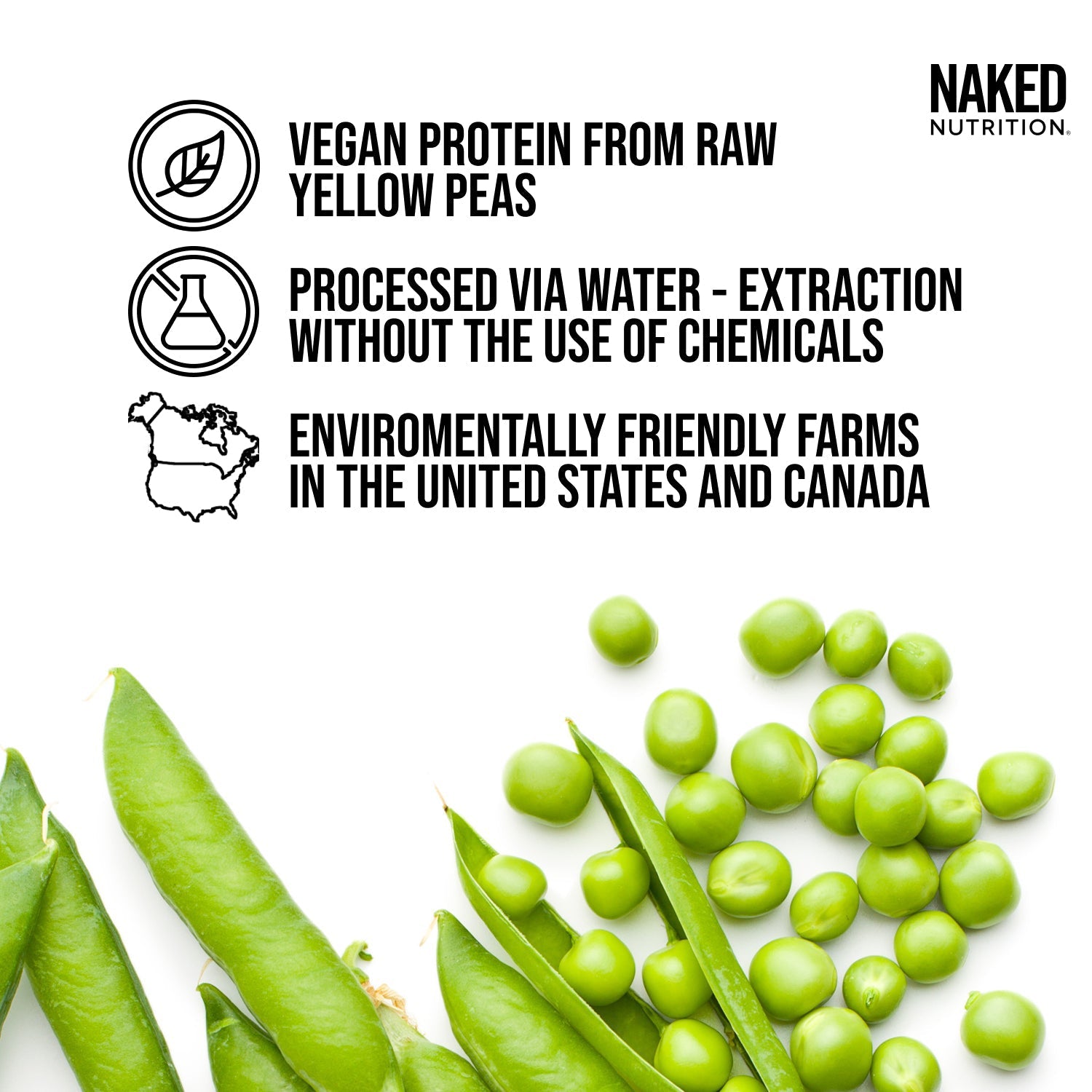 Pea Protein Powder 1lb - Unflavored - Simple Dairy Free Protein Powder